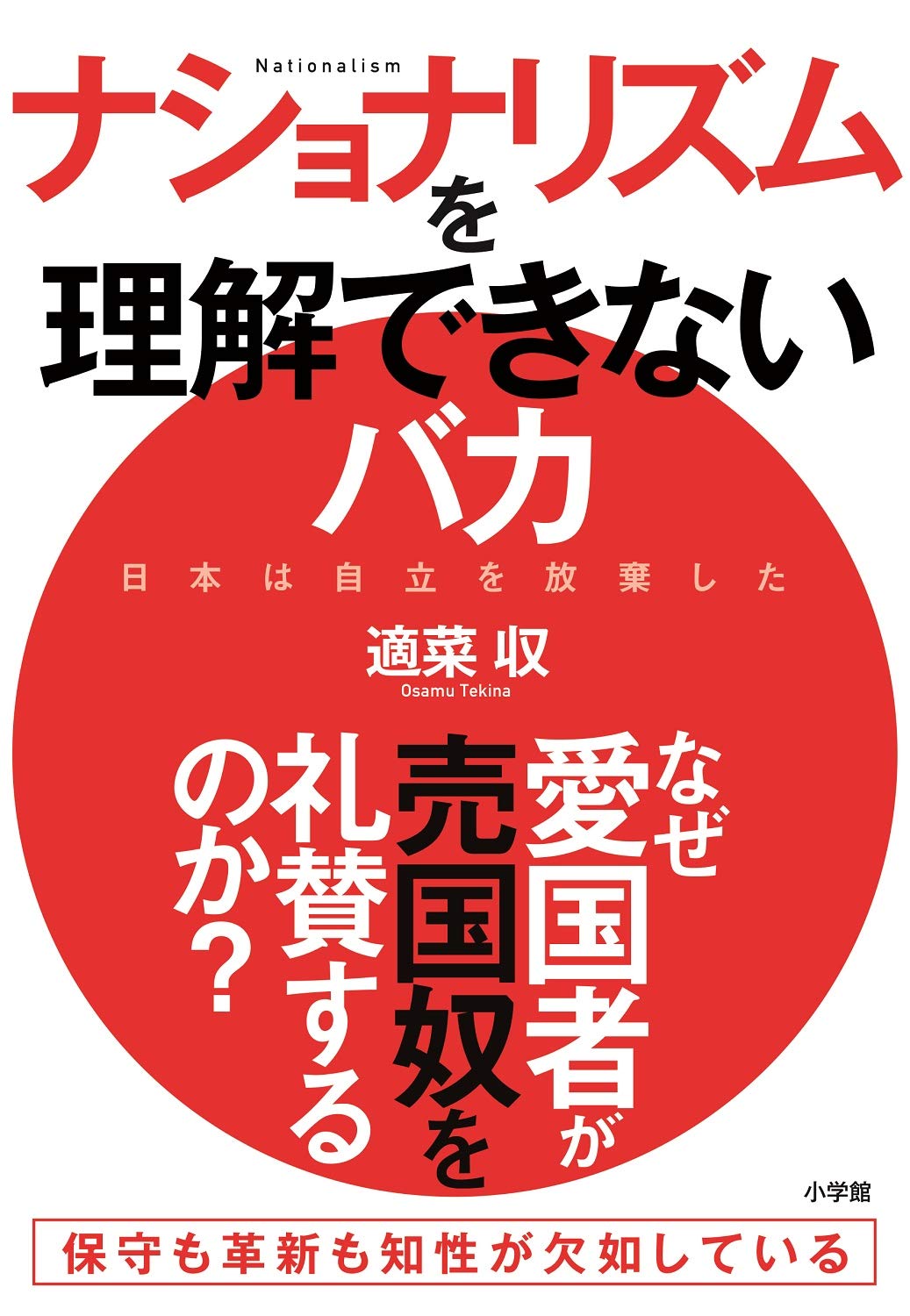 ナショナリズムを理解できないバカ　表紙